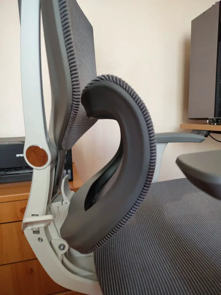 FlexiSpot C7 Supporto lombare bloccato