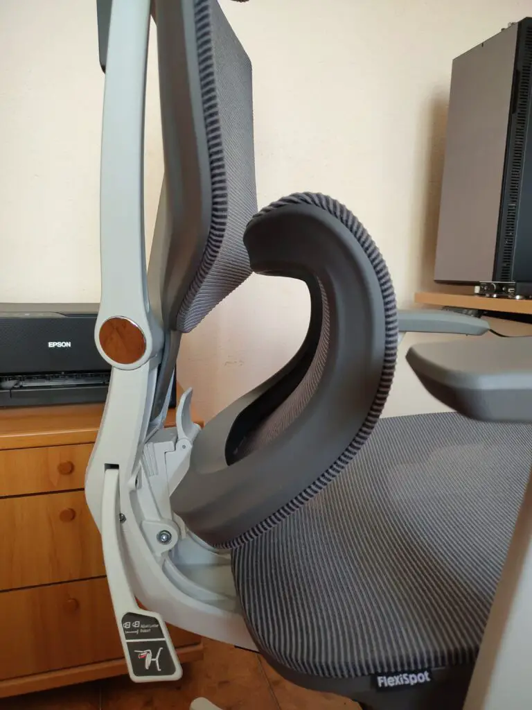 FlexiSpot C7 Supporto lombare sbloccato
